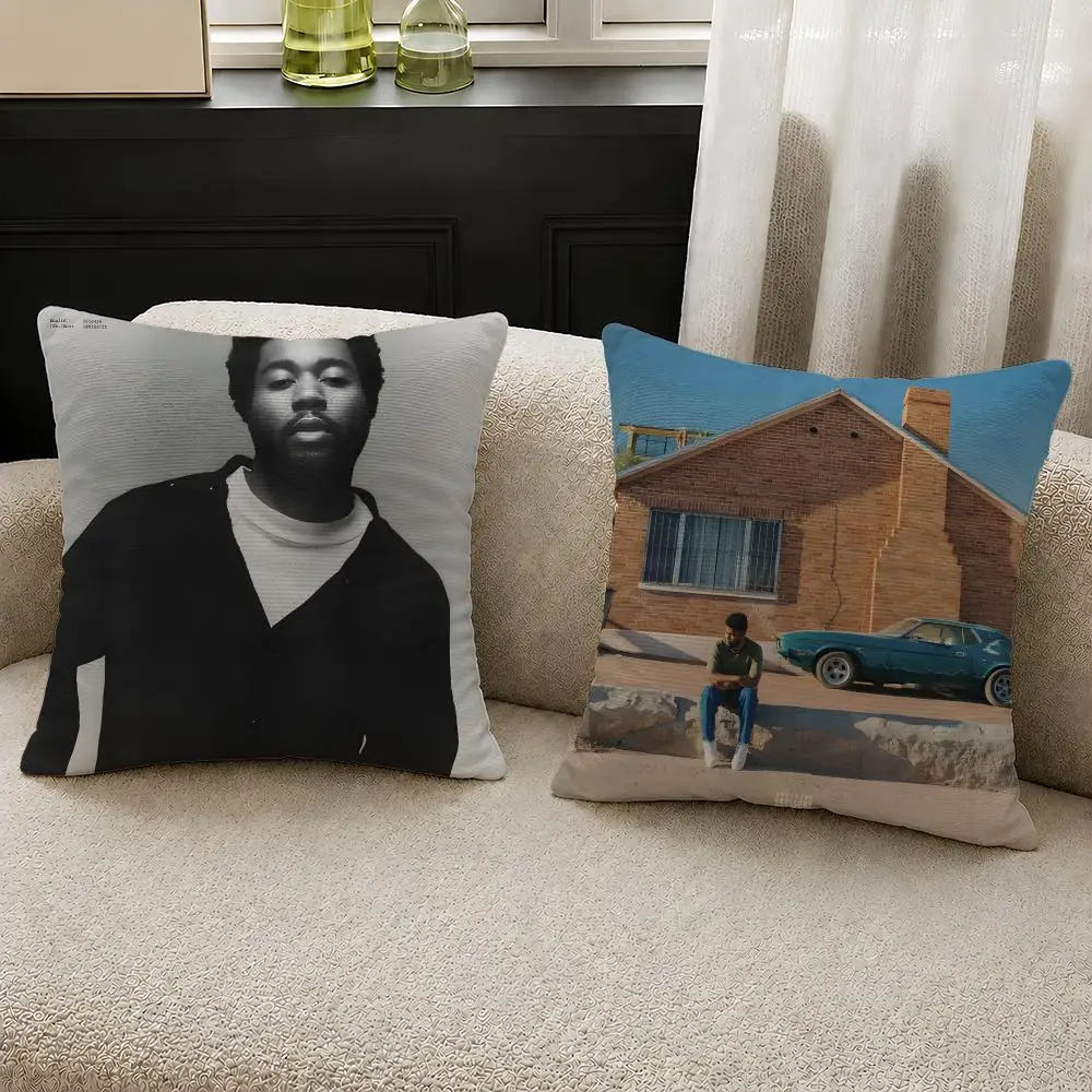 Наволочка с изображением певца – обзор и цена Home Decor Locations